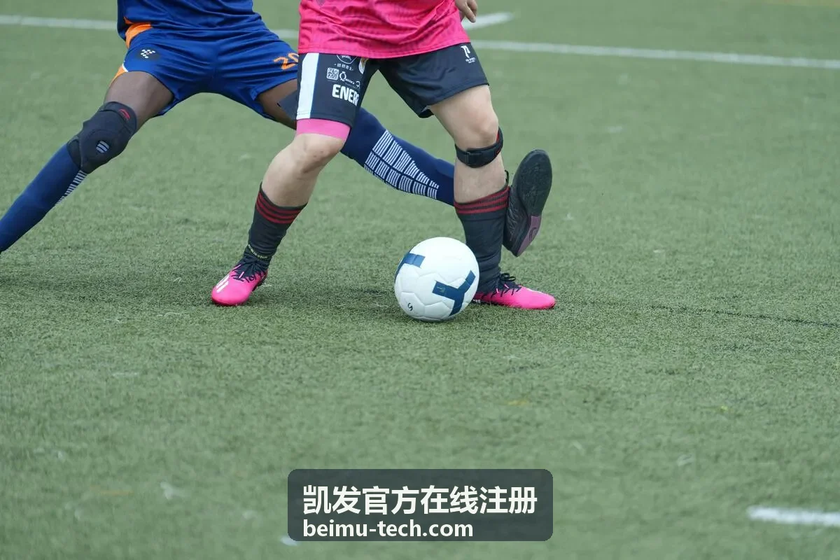 功能特色浏览