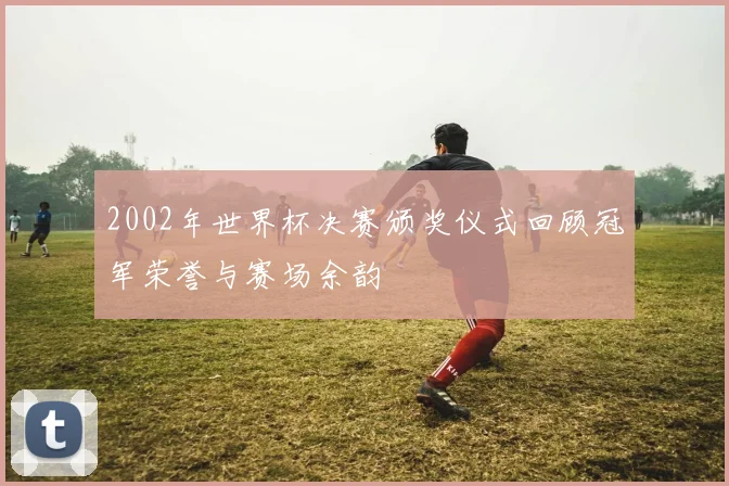 2002年世界杯决赛颁奖仪式回顾冠军荣誉与赛场余韵