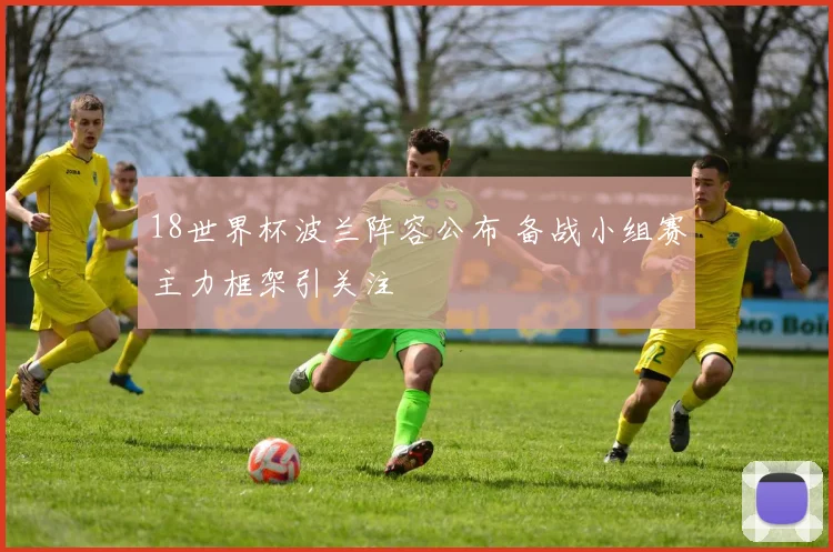 18世界杯波兰阵容公布 备战小组赛主力框架引关注